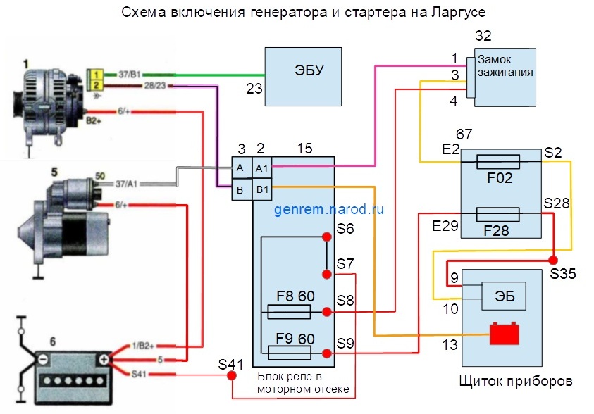shemaLargus
